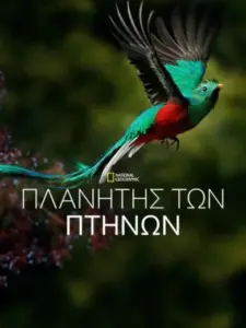 Πλανήτης των Πτηνών / Planet of the Birds