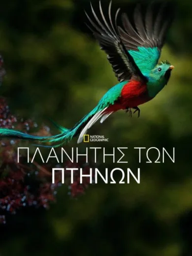 Πλανήτης των Πτηνών / Planet of the Birds