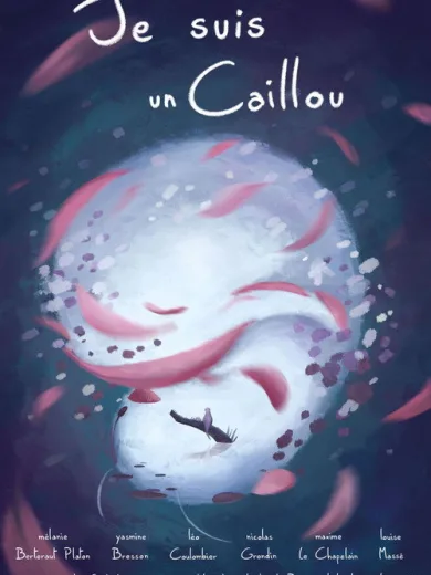 Je suis un Caillou