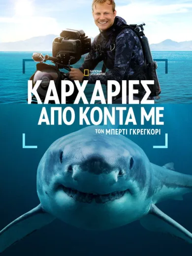 Sharks Up Close with Bertie Gregory