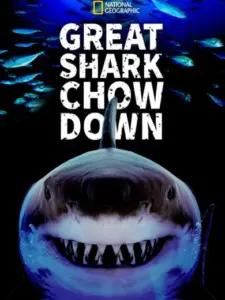 Great Shark Chow Down