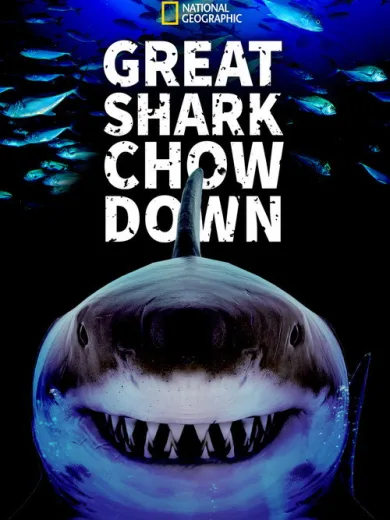Great Shark Chow Down