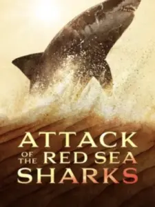 Attack of the Red Sea Sharks