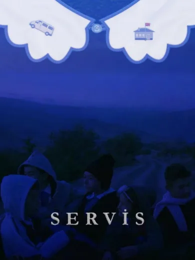Servis