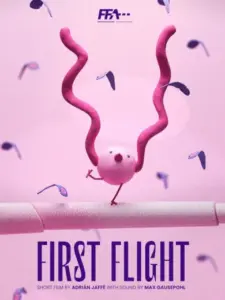 First Flight