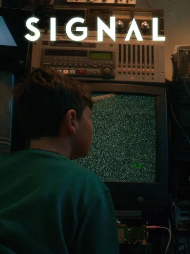 Signal