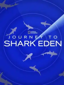 Journey to Shark Eden