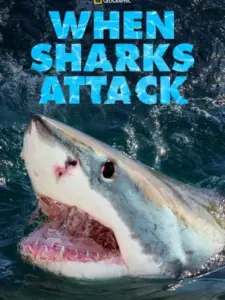 When Sharks Attack