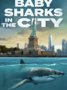 Baby Sharks in the City