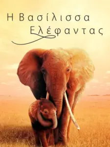 Η Βασίλισσα Ελέφαντας / The Elephant Queen