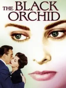 The Black Orchid