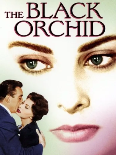 The Black Orchid