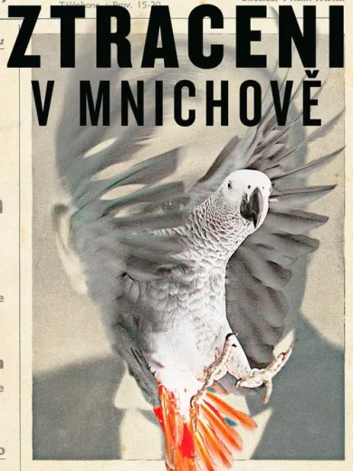 Ztraceni v Mnichově