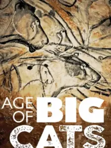 Age of Big Cats