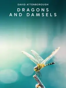 Dragons and Damsels