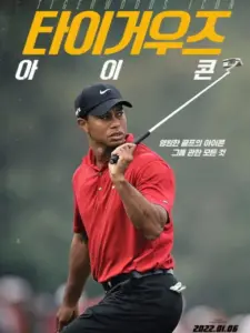 Tiger Woods: Icon