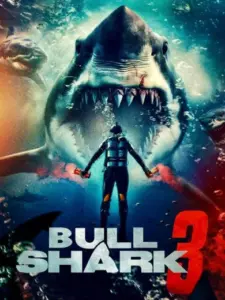 Bull Shark 3
