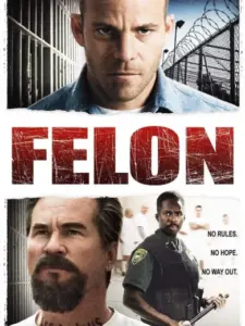 Ο Κατάδικος / Felon