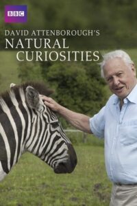 Της φύσης τα περίεργα / David Attenborough’s Natural Curiosities S1 E1