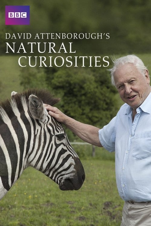 Της φύσης τα περίεργα / David Attenborough’s Natural Curiosities S1 E1