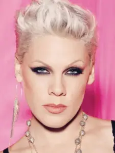 P nk (P!nk)