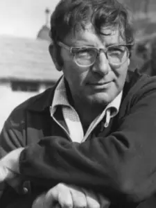 Cy Endfield