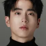 Chanon Santinatornkul