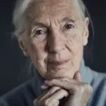 Τζέιν Γκούντολ (Jane Goodall)
