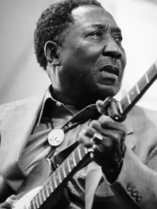 Muddy Waters
