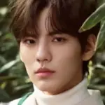 Bi Wenjun