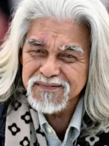 Wan Hanafi Su