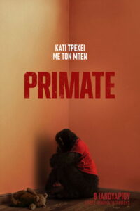 Primate