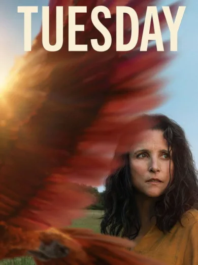 Tuesday