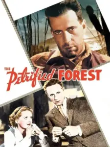 The Petrified Forest