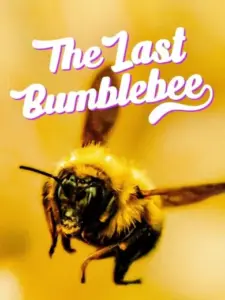 The Last Bumblebee