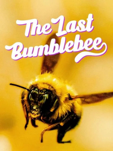 The Last Bumblebee