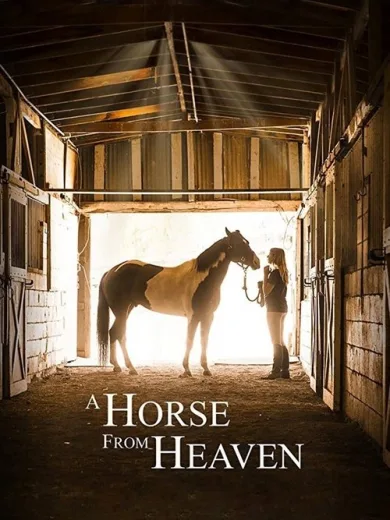 A Horse from Heaven