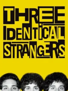 Three Identical Strangers