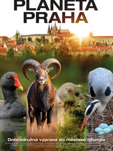 Planeta Praha