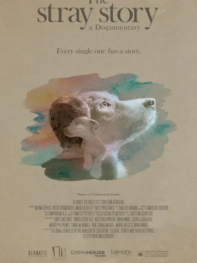 The Stray Story: A Dogumentary