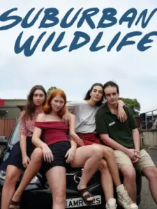 Suburban Wildlife