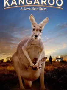 Kangaroo: A Love-Hate Story