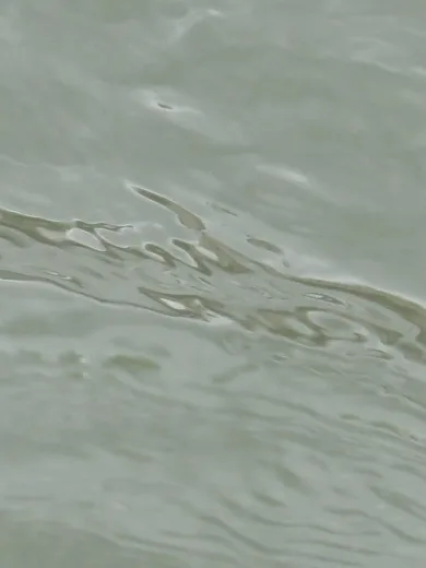 entre les vagues (un hommage)