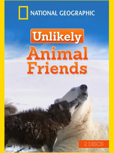 Unlikely Animal Friends