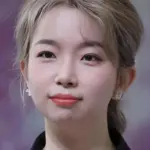 He Wenxiao