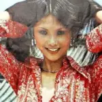 Fan Lei