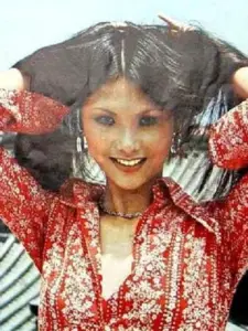 Fan Lei