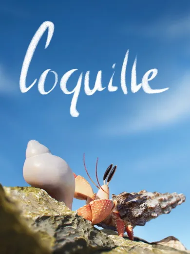 Coquille