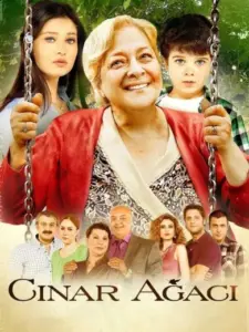 Ο Πλάτανος / Çınar Ağacı