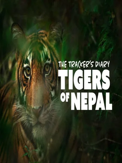 The Trackers Diary Tigers Of Nepal